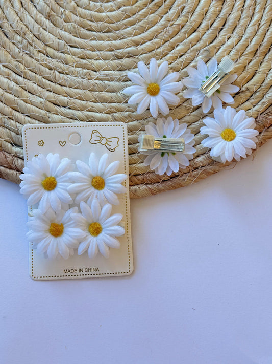 Set of 4 Hair Clips