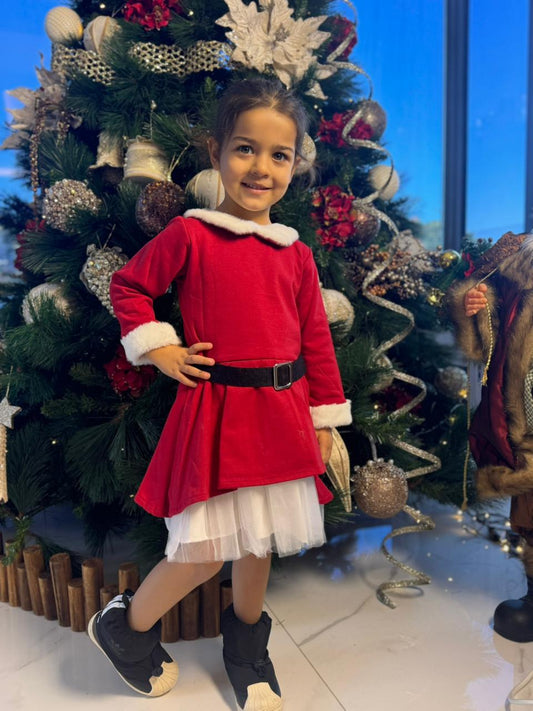 Mama Claus Christmas Dress