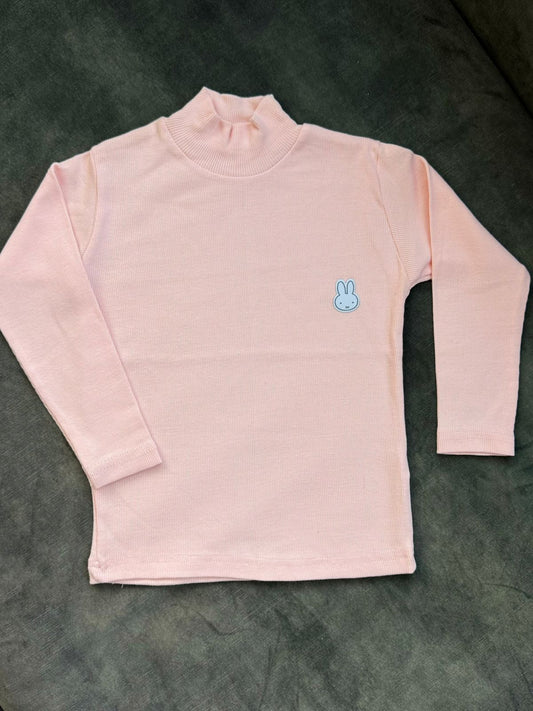 Cotton Corail Turtleneck