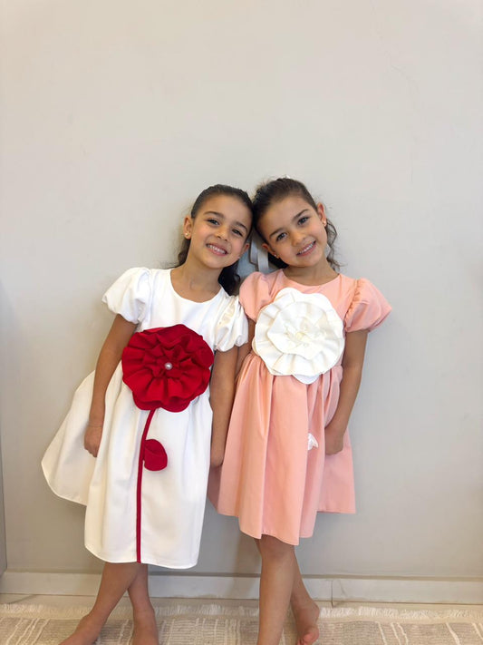 Dresses available in 2 colors
