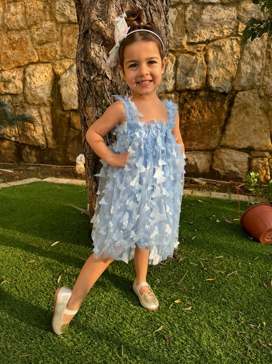 Blue Butterfly tulle dress