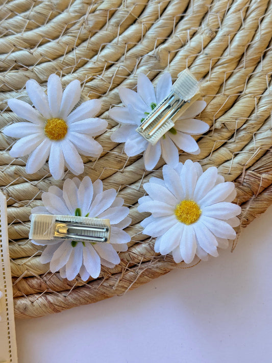 Set of 4 Hair Clips