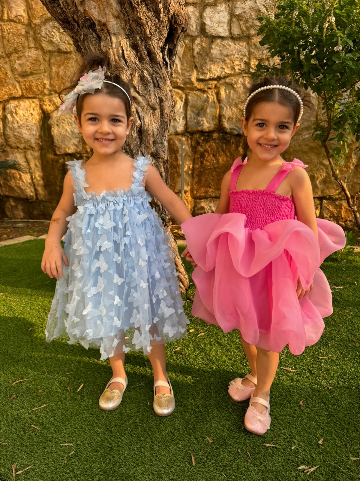 Blue Butterfly tulle dress