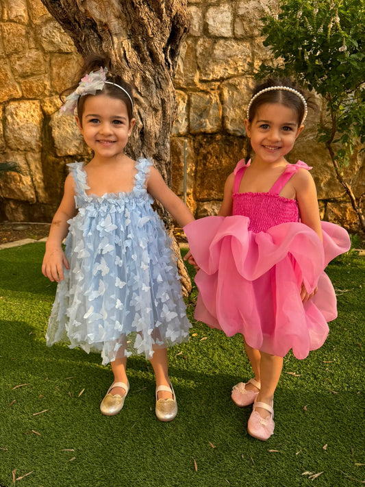 Blue Butterfly tulle dress